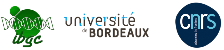 Logos des tutelles et de l'institut accueillant le Computational Biology and Bioinformatics Lab de bordeaux
