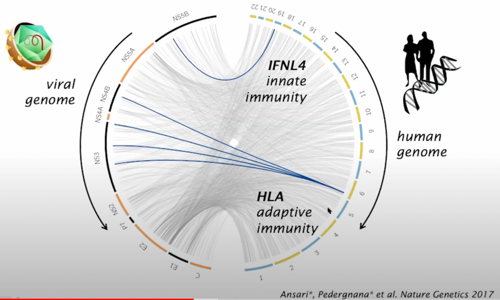 14/03 Human and viral genomics of infections