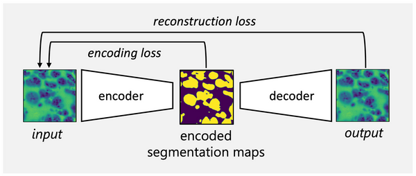 Unsupervised segmentation of nuclei in fluorescence microscopy images using Deep Learning