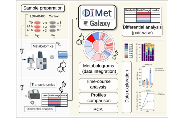 Open-source tool for the differential analysis of metabolomics data and omics integration: DIMet