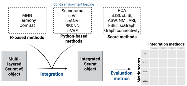 SeuratIntegrate: an R package to facilitate the use of integration methods with Seurat